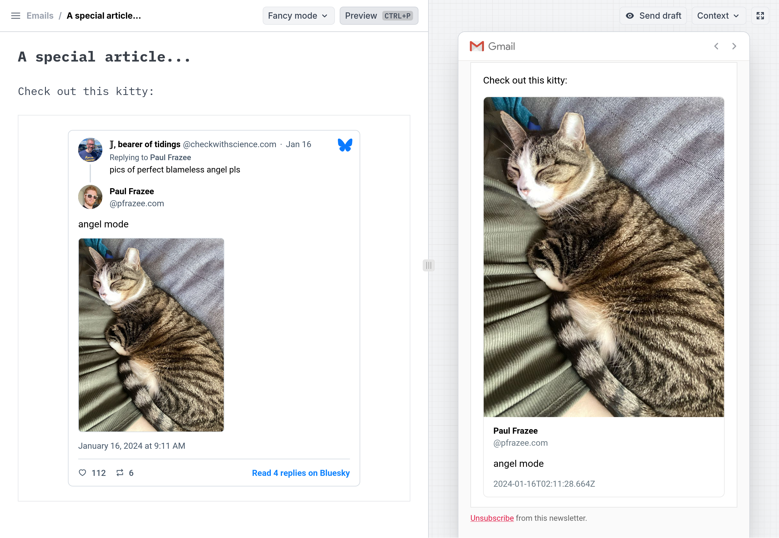 Buttondown editor with the preview open, the email contents? It's a precious sleeping kitty