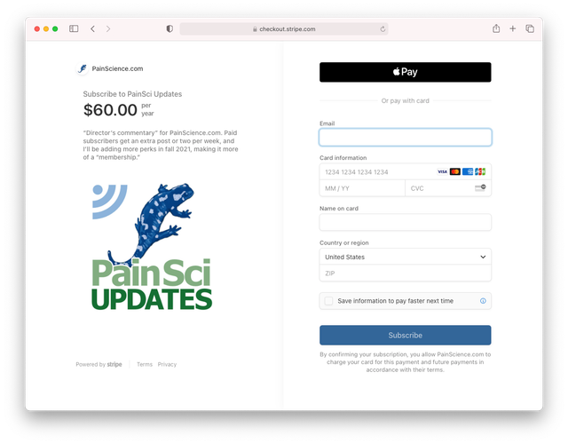 An example of a Checkout page generated by Payment Links.