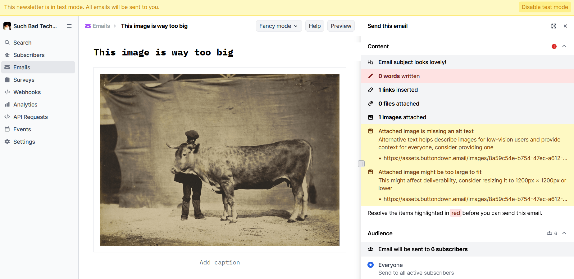 A screenshot showing Buttondown's preflight check interface