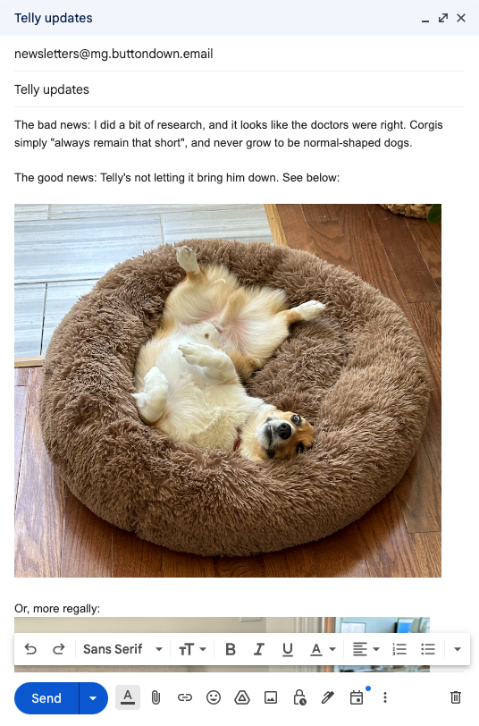 A screenshot of the Gmail desktop interface, writing a letter to newsletters@mg.buttondown.email, featuring an image of my corgi Telemachus looking — frankly — like an absolute doofus.